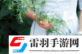 女生流出白白的東西怎么回事：健康預警與保養建議，全面解答你的疑問！
