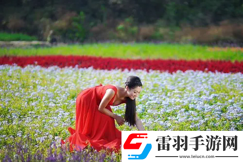紅塵影院手機在線觀看：高質(zhì)量內(nèi)容和流暢播放體驗，熱門影片推薦與觀影指南！