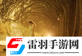 星空無限影視傳媒有限公司：激烈的影視行業中脫穎而出，影視行業的創新與發展之道！