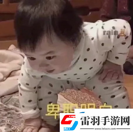 參見(jiàn)老婆表情包