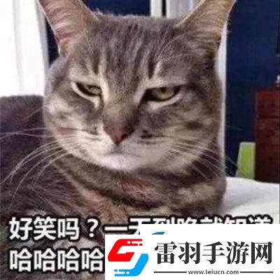 參見(jiàn)老婆表情包
