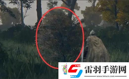 艾爾登法環(huán)鳥(niǎo)瞰鏡附近的人介紹