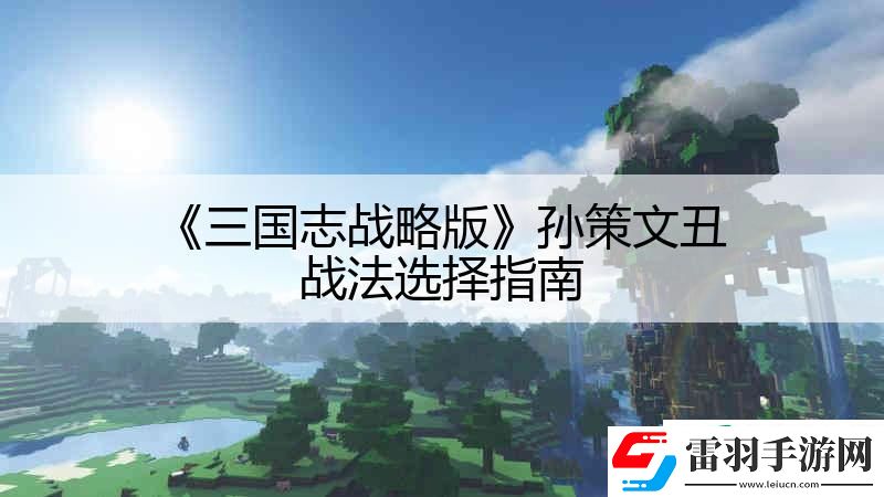 三國(guó)志戰(zhàn)略版孫策文丑戰(zhàn)法選擇指南