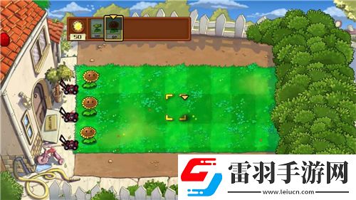 九陰真經武當五內屬性全解析