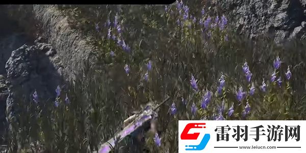 最終幻想7重生陸行鳥道的精髓怎么過(guò)