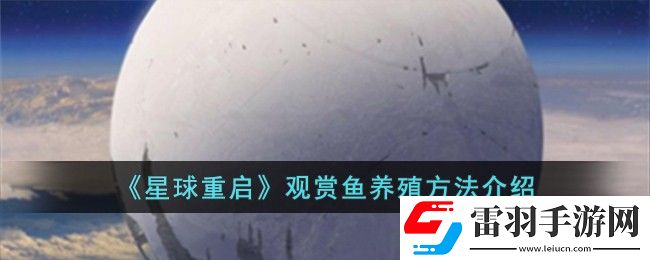星球重啟觀賞魚養殖方法介紹