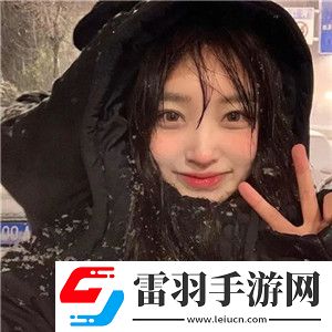 weyvv5國產的suv