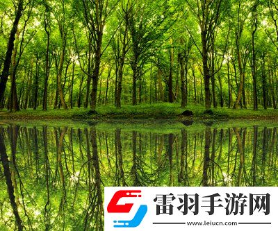 單身男女觀看免費(fèi)完整版：在愛與孤獨(dú)之間，讓你感受不一樣的心動時刻！