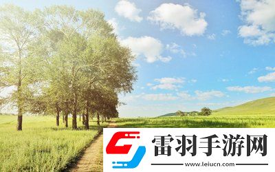 液體收集器系統HH的安裝指南：準備到完成，確保每一步都精準無誤！