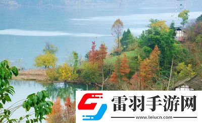 老牛影視文化傳媒有限公司官方：匠心打造精品影視，開啟文化新紀元！