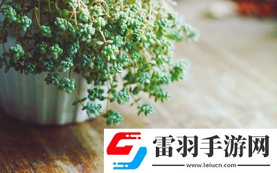 校園pop1n高中多場地文，青春無敵,網(wǎng)友：帶你走進多場地高中的精彩紛呈！