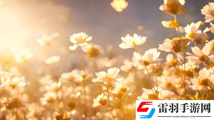 液體收集器系統(tǒng)HH的安裝指南：準備到調(diào)試，一步步打造高效安全的生產(chǎn)環(huán)境！