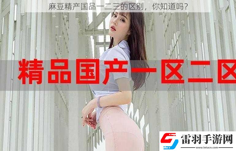 麻豆精產國品一二三的區別
