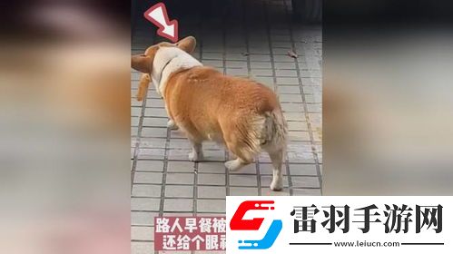 叼人現象探秘