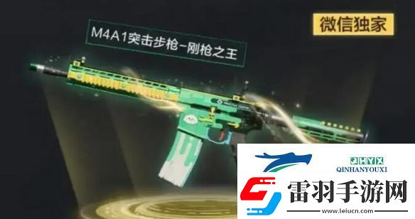 三角洲行動(dòng)渠道注冊(cè)皮膚外觀有哪些