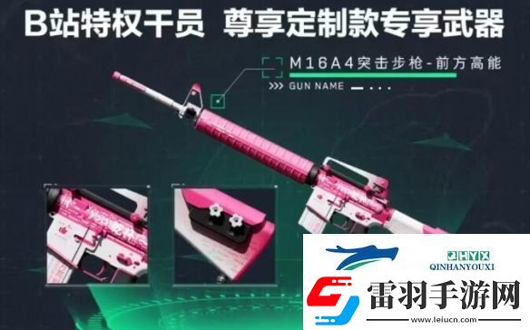 三角洲行動(dòng)渠道注冊(cè)皮膚外觀有哪些