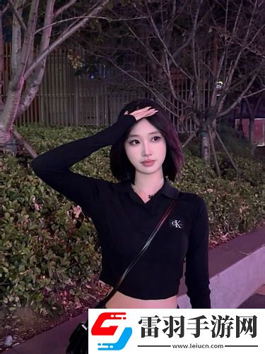 玫瑰的故事1-40集免費-玫瑰的故事1-40集免費在線中文版v13.10.12