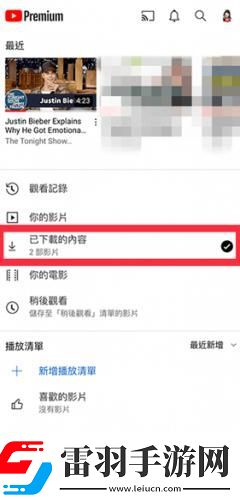 猛虎視頻免費(fèi)觀看下載-猛虎視頻免費(fèi)觀看下載