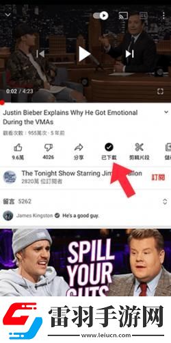 猛虎視頻免費(fèi)觀看下載-猛虎視頻免費(fèi)觀看下載