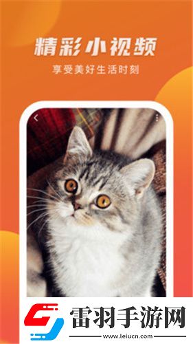 美麗的小蜜挑5下載-美麗的小蜜挑5下載