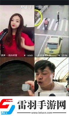 乄hamster9乄乄乄照片下載-乄hamster9乄乄乄照片下載